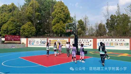 如何为不同水平的球员制定个性化的篮球训练策略_1